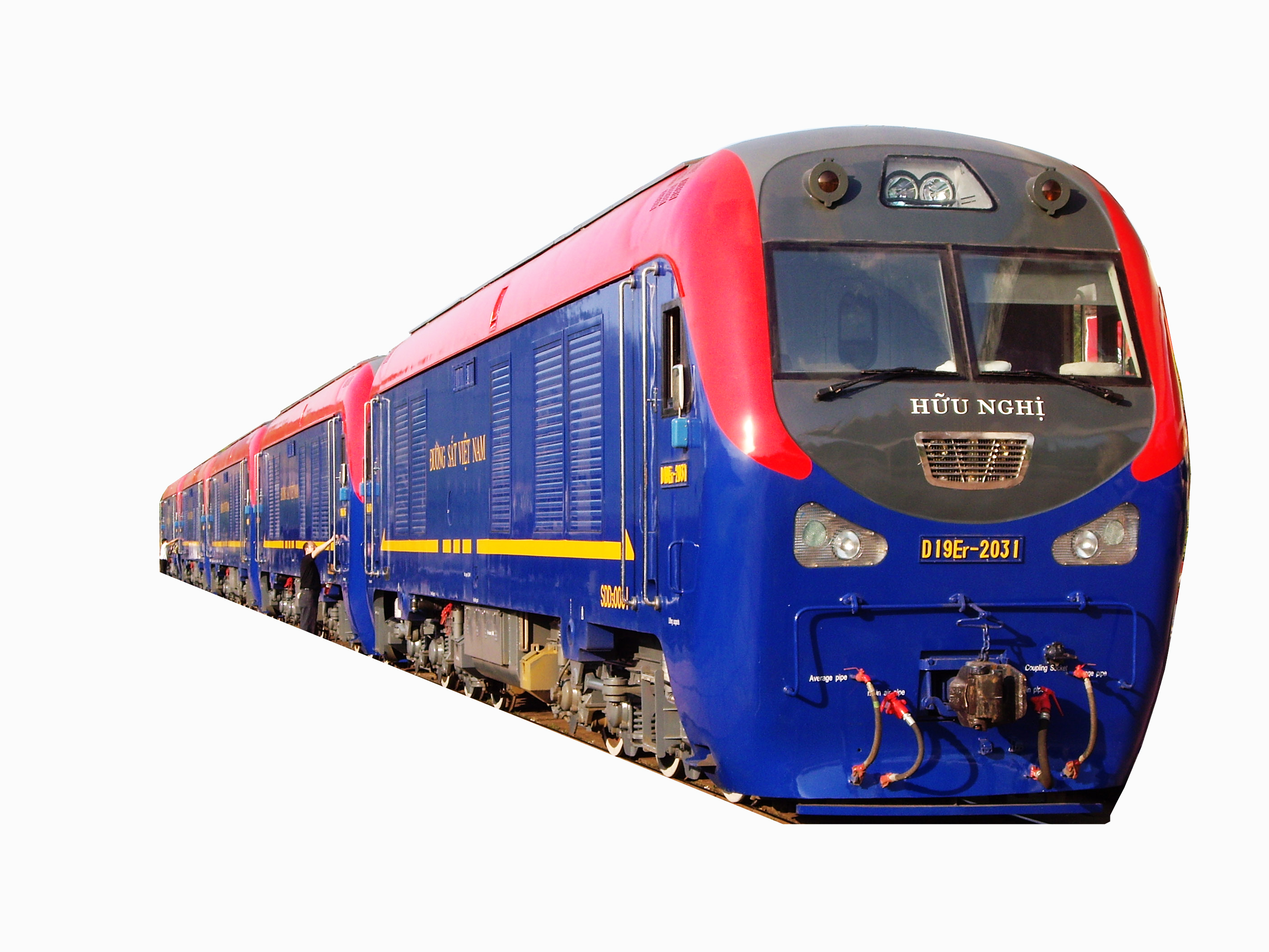 D19Er-2031